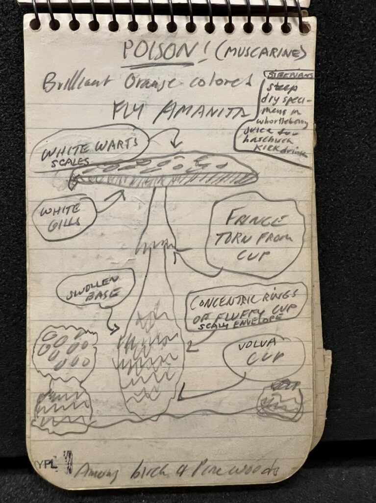 Figures 1-3: Drawings from “SK(11),” one of Kerouac’s Book of Sketches notebooks, dated 1953-’54.